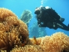 red-sea-2012-szept-2